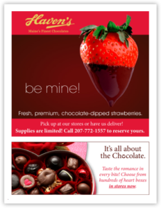 Haven's Candies Valentine's Day Email