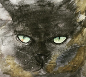 "Annabelle" watercolor by Tom Bruton