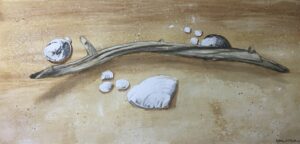 "Driftstick with shells" watercolor by Tom Bruton