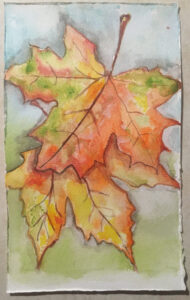 Turning maple leaves watercolor by Tom Bruton