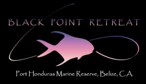 Black Point Retreat logo by Tom Bruton