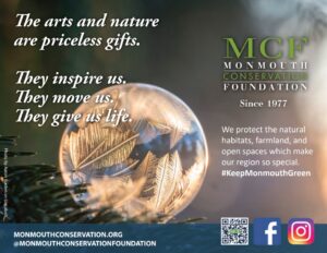 MCF ad by Tom Bruton