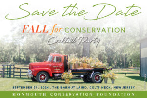 Fall For Conservation postcard by Tom Bruton