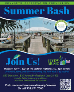 MCF Summer Bash Poster by Tom Bruton